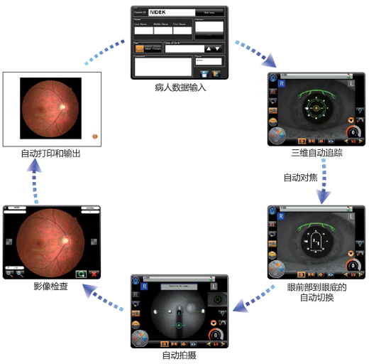 具有五個自動功能 具有五個自動功能